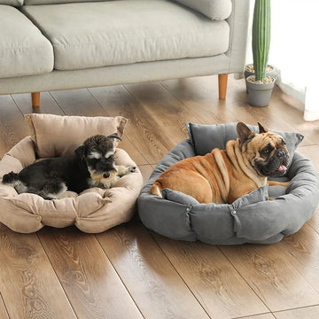 Multifunction Dog Bed Mat