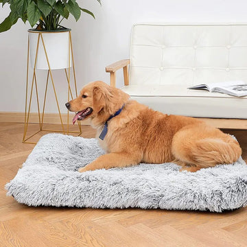 Plush Dog Bed Mat
