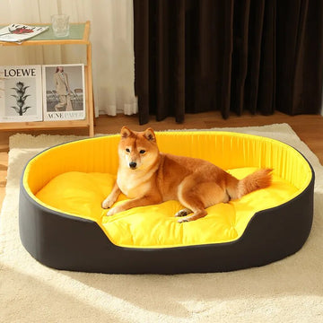 Big Dog Bed