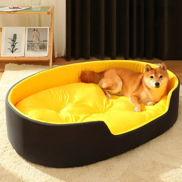 Big Dog Bed