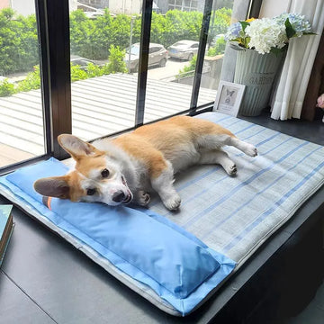 Summer Cooling Dog Bed